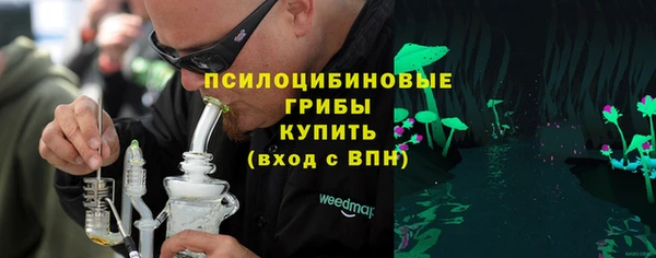 прущая мука Алзамай