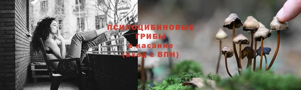 гидра Арсеньев