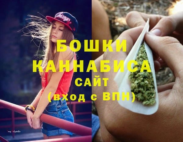 гидра Арсеньев