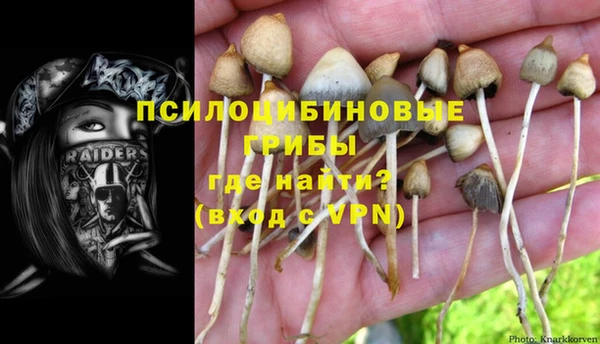 прущая мука Алзамай