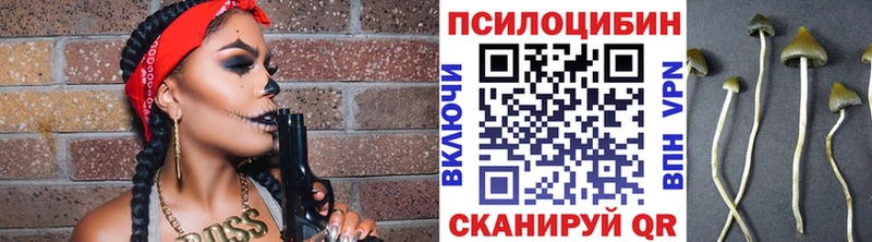 Псилоцибиновые грибы Psilocybe  Добрянка 