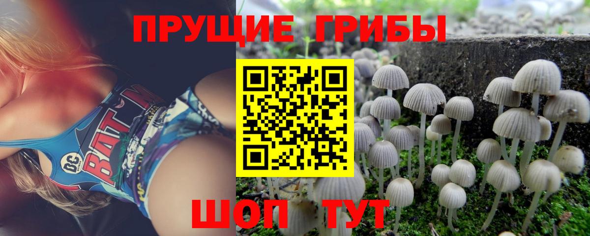 Добрянка  Псилоцибиновые грибы мухоморы  Вход с VPN  Галлюциногенные грибы ЛСД 