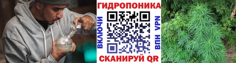 мега как войти  Добрянка  Конопля ГИДРОПОН  купить наркоту 